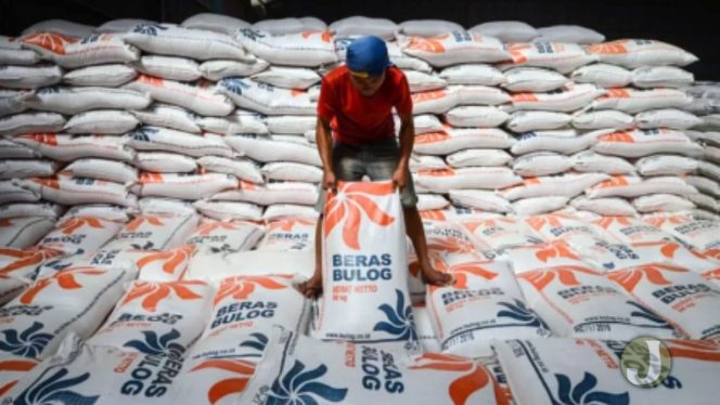 
 Produksi beras 2022 diperkirakan surplus. Memasuki 2023, Indonesia akan punya stok 6 juta ton beras. (Foto: Indonesia.go.id)
